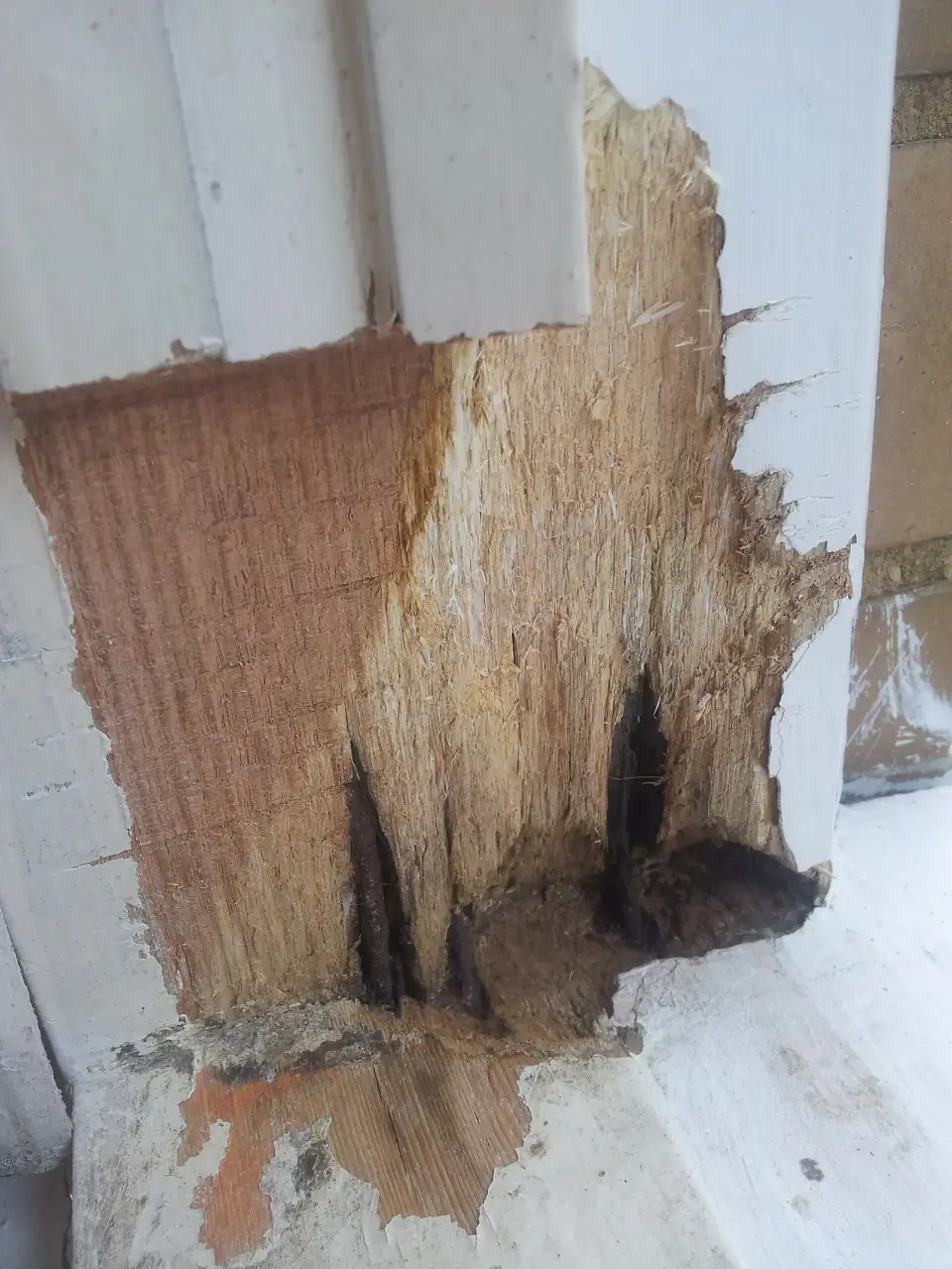 De hoek van een wit geschilderd houten kozijn waar het hout door houtrot is weggerot en gespleten